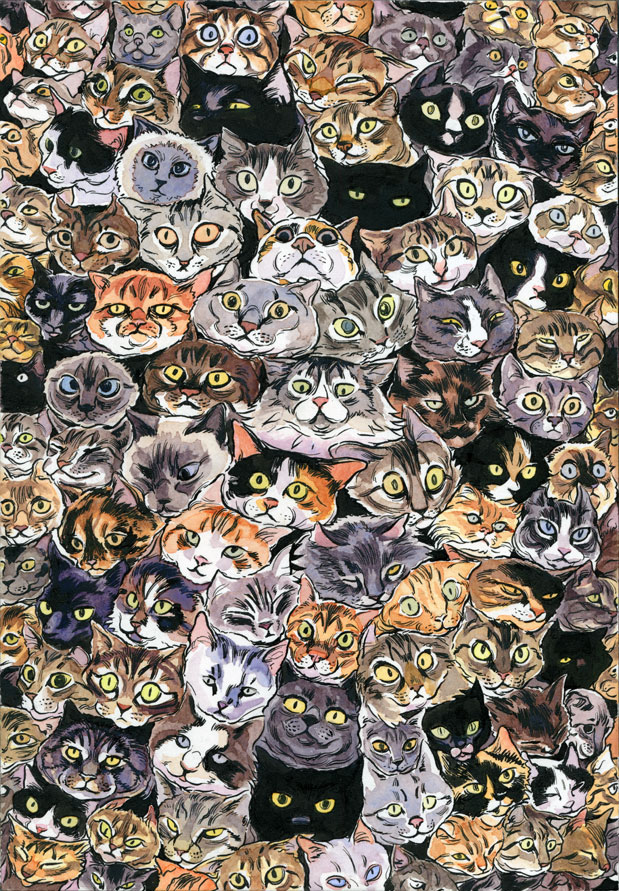 Millions Of Cats